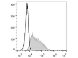 FITC Anti-Mouse CD326/EpCAM Antibody[G8.8]