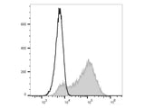 Elab Fluor® 488 Anti-Mouse CD326/EpCAM Antibody[G8.8]