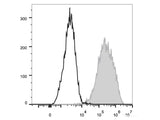 PE/Cyanine7 Anti-Mouse CD326/EpCAM Antibody[G8.8]