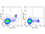 FITC Anti-Mouse CD335/NKp46 Antibody[29A1.4]