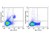 PE/Cyanine5 Anti-Mouse CD335/NKp46 Antibody[29A1.4]