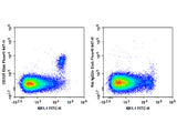 Elab Fluor® 647 Anti-Mouse CD335/NKp46 Antibody[29A1.4]