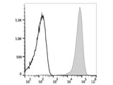 PE Anti-Mouse CD41 Antibody[MWReg30]