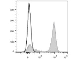 APC Anti-Mouse CD41 Antibody[MWReg30]