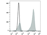 PE/Cyanine7 Anti-Mouse CD41 Antibody[MWReg30]