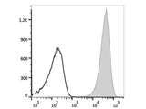 FITC Anti-Mouse CD41 Antibody[MWReg30]