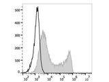 PE Anti-Mouse CD45.1 Antibody[A20]