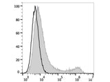 FITC Anti-Mouse CD45.1 Antibody[A20]