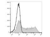 APC Anti-Mouse CD45.1 Antibody[A20]