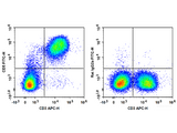 FITC Anti-Mouse CD5 Antibody[53-7.3]