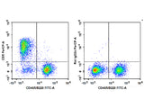 PerCP Anti-Mouse CD5 Antibody[53-7.3]