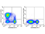 Elab Fluor® Violet 450 Anti-Mouse CD5 Antibody[53-7.3]