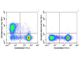 Elab Fluor® Red 780 Anti-Mouse CD5 Antibody[53-7.3]