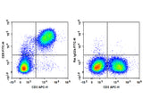 FITC Anti-Mouse CD5 Antibody[53-7.3]