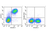 PE Anti-Mouse CD5 Antibody[53-7.3]