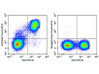 Elab Fluor® 647 Anti-Mouse CD5 Antibody[53-7.3]