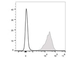 PE Anti-Mouse CD69 Antibody[H1.2F3]