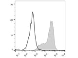 FITC Anti-Mouse CD69 Antibody[H1.2F3]