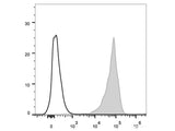 APC Anti-Mouse CD69 Antibody[H1.2F3]