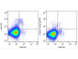 FITC Anti-Mouse FcεRIα Antibody[MAR-1]