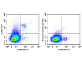 PE Anti-Mouse FcεRIα Antibody[MAR-1]