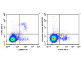 APC Anti-Mouse FcεRIα Antibody[MAR-1]