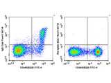 Biotin Anti-Mouse IgD Antibody[11-26c.2a]