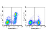 PerCP Anti-Mouse IgD Antibody[11-26c.2a]