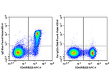 Elab Fluor® Violet 450 Anti-Mouse IgD Antibody[11-26c.2a]