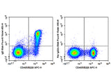 Elab Fluor® Violet 450 Anti-Mouse IgD Antibody[11-26c.2a]