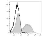 PE Anti-Mouse IgM Antibody[RMM-1]