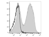 PE/Cyanine5 Anti-Mouse IgM Antibody[RMM-1]