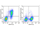 PerCP/Cyanine5.5 Anti-Mouse IgM Antibody[RMM-1]