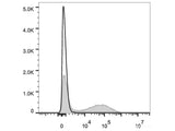 PE/Cyanine7 Anti-Mouse IgM Antibody[RMM-1]