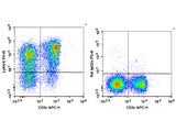 PE Anti-Mouse Ly6A/E(Sca-1) Antibody[D7]