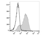 PE/Cyanine5.5 Anti-Mouse Ly6A/E(Sca-1) Antibody[D7]