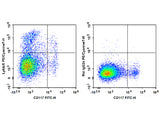 PE/Cyanine7 Anti-Mouse Ly6A/E(Sca-1) Antibody[D7]