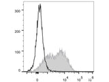 PerCP/Cyanine5.5 Anti-Mouse Ly6A/E(Sca-1) Antibody[D7]