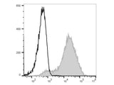 Elab Fluor® 488 Anti-Mouse Ly6A/E(Sca-1) Antibody[D7]