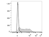 Elab Fluor® 647 Anti-Mouse Ly6A/E(Sca-1) Antibody[D7]