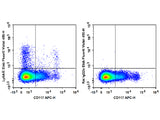 Elab Fluor® Violet 450 Anti-Mouse Ly6A/E(Sca-1) Antibody[D7]