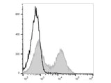 FITC Anti-Mouse CD38 Antibody[NIMR5]