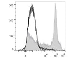 PE/Cyanine7 Anti-Mouse CD38 Antibody[NIMR5]