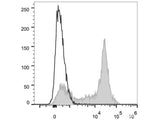 PE Anti-Mouse CD38 Antibody[NIMR5]