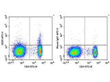 PE/Cyanine7 Anti-Human CD25 Antibody[BC96]