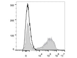 PE Anti-Mouse IL-17A Antibody[TC11-18H10.1]