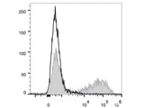 APC Anti-Mouse IL-17A Antibody[TC11-18H10.1]