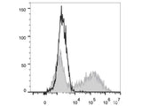 Elab Fluor® 647 Anti-Mouse IL-17A Antibody[TC11-18H10.1]