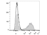 PE Anti-Mouse IL-17A Antibody[TC11-18H10.1]