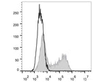 PE Anti-Human IL-2 Antibody[MQ1-17H12]